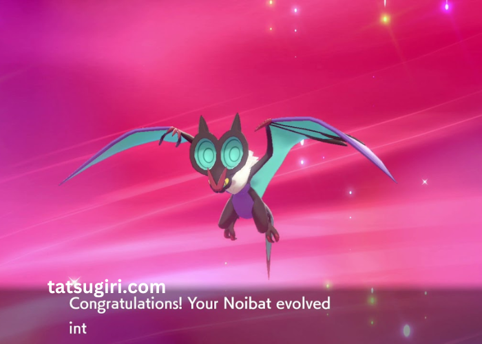 What Level Does Noibat Evolve