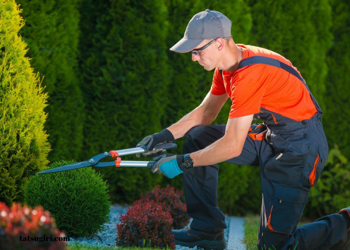 Garden Maintenance