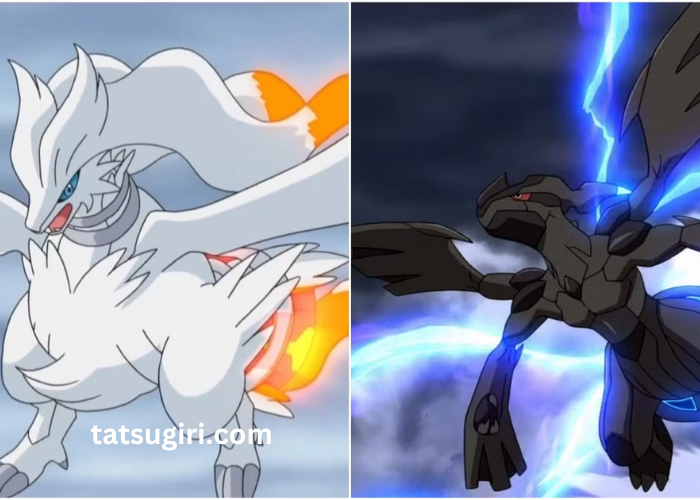 legendary pokemon white and black